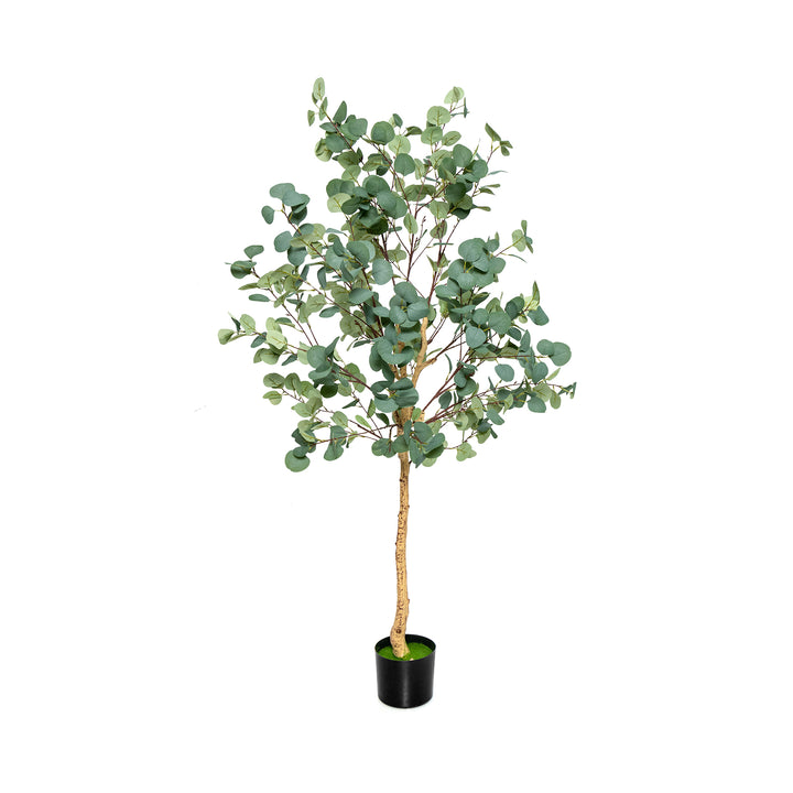 Artificial Eucalyptus Tree with Silver Dollar Leaves 1.65 m - TidySpaces