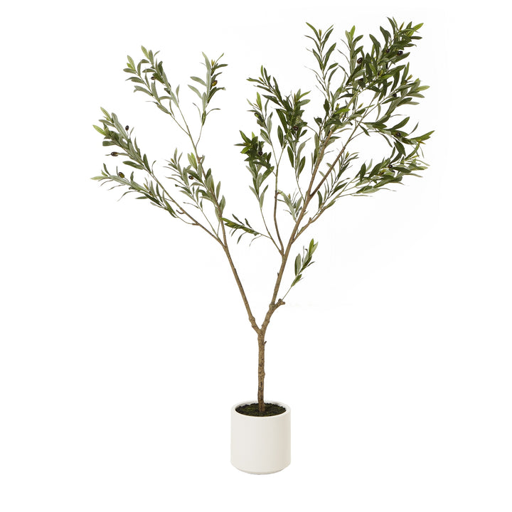 Apulia Olive Tree In White Pot 180Cm BROWN PLASTIC - TidySpaces