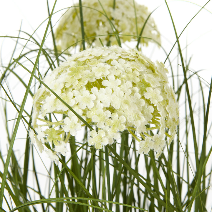 Large White Allium Plant In Pot - TidySpaces