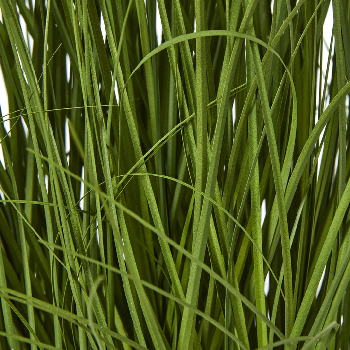 Large White Allium Plant In Pot - TidySpaces