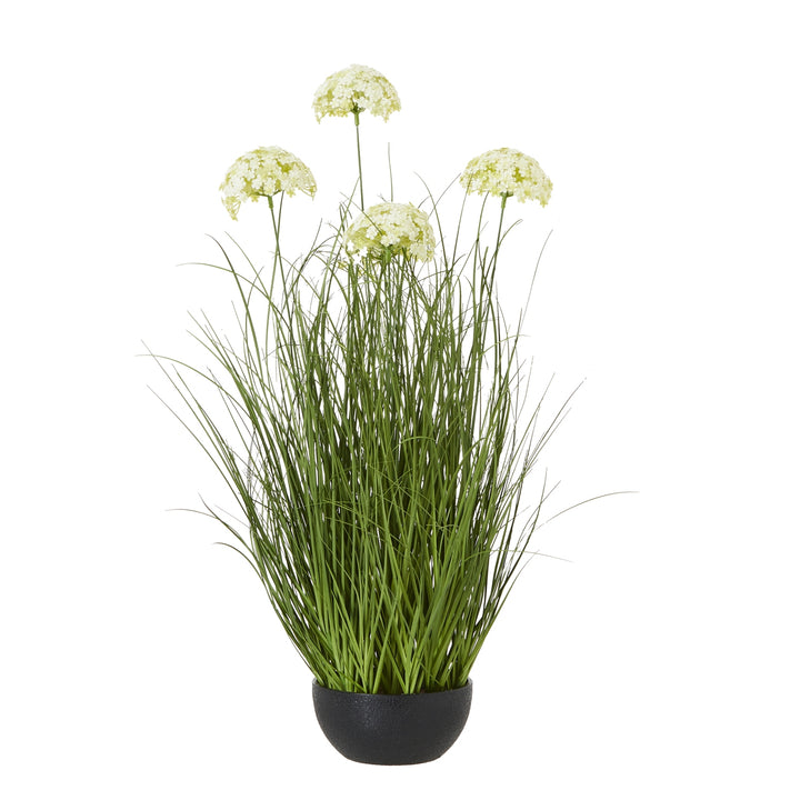 Large White Allium Plant In Pot WHITE PLASTIC - TidySpaces