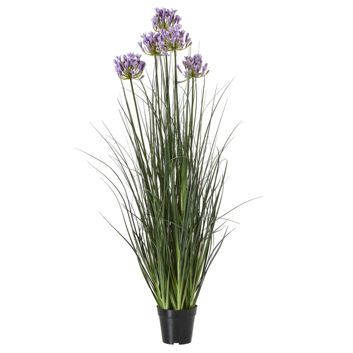Large Purple Agapanthus Plant In Pot GREEN PLASTIC - TidySpaces