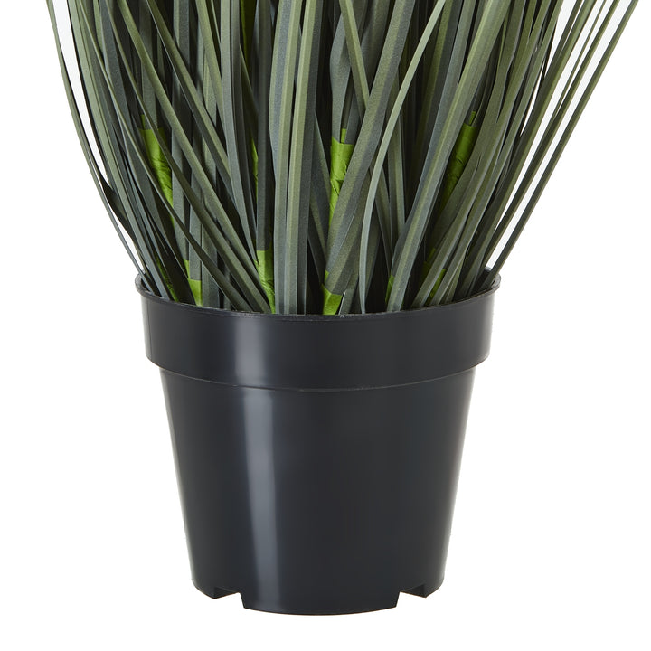 Large White Meadow Plant In Pot - TidySpaces