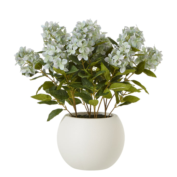 Medium Green Hydrangea Plant In Pot GREEN PLASTIC - TidySpaces