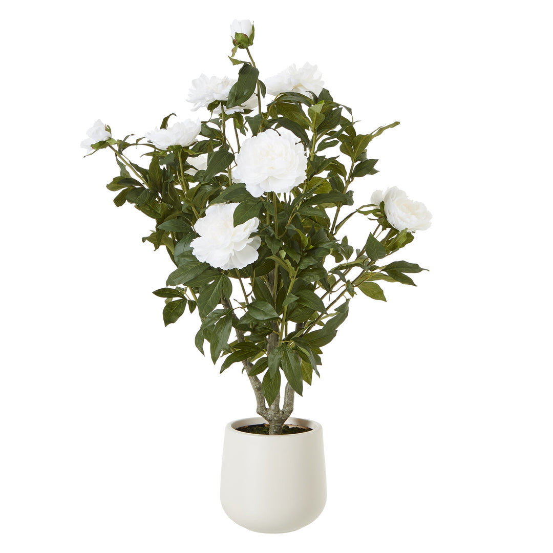 Extra Large White Peony Bush In Pot WHITE PLASTIC - TidySpaces