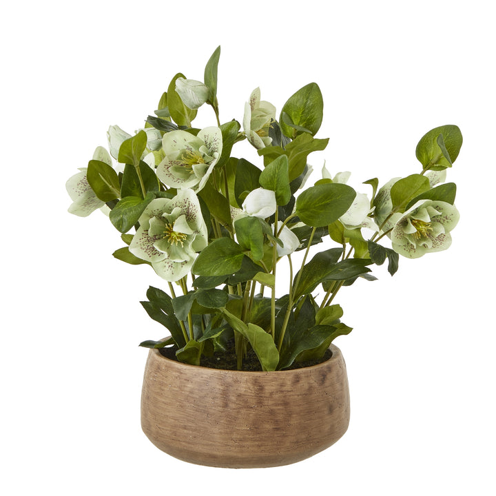 Green Hellebore Plant In Taupe Pot GREEN PLASTIC - TidySpaces