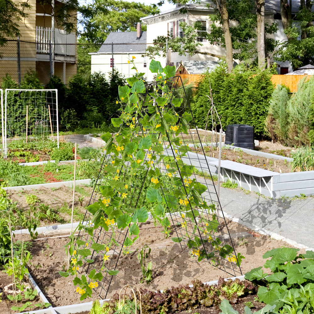 2-Pack Garden Cucumber Trellis with Accessories-Green - TidySpaces
