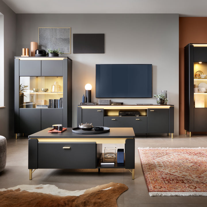 Genoa Vitrin 2 Door in Black Matt/Gold - TidySpaces