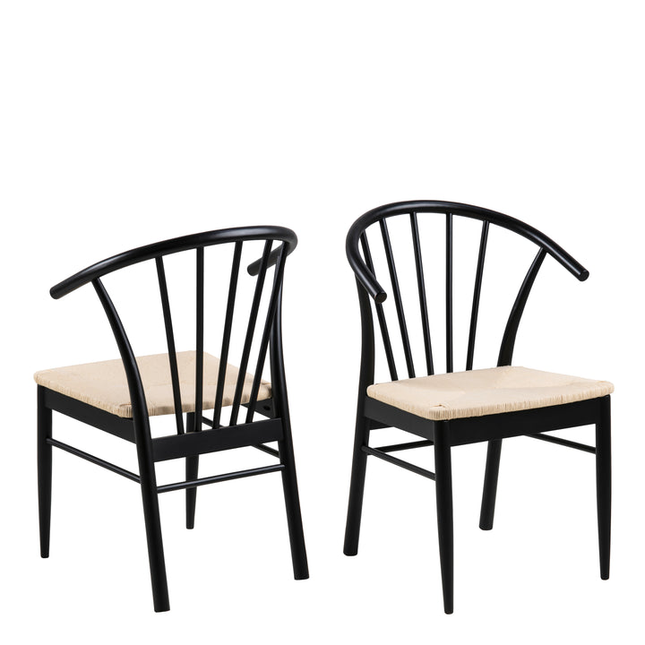 Cassandra Dining Chair with Armrest in Black Set of 2 - TidySpaces