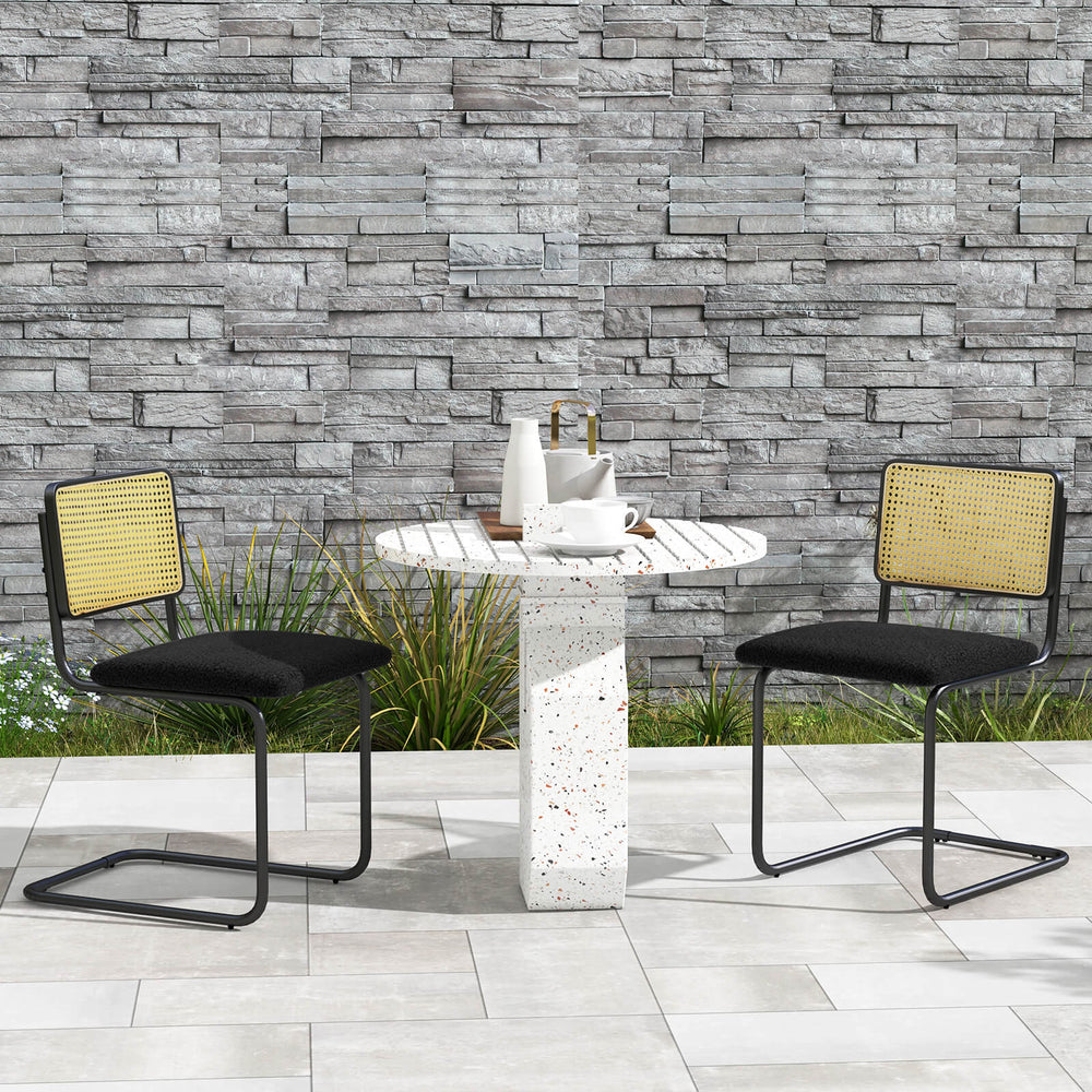 2 Pieces Mid Century Modern Dining Chair with Cantilever Design - TidySpaces