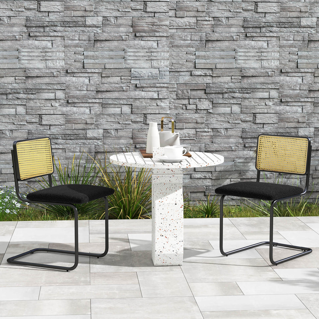 2 Pieces Mid Century Modern Dining Chair with Cantilever Design - TidySpaces