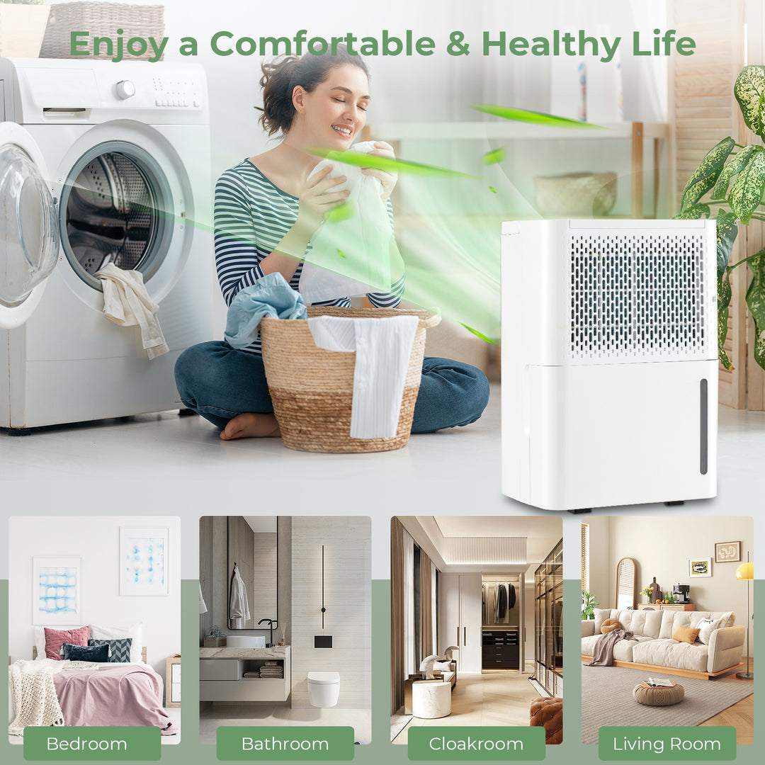 12L/Day Dehumidifier with Continuous Drying Auto Mode and 24H Timer-White - TidySpaces
