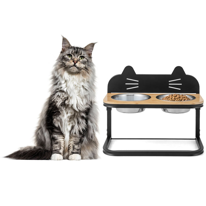 Elevated Pet Feeder for Cats with 2 Stainless Steel Bowls - TidySpaces