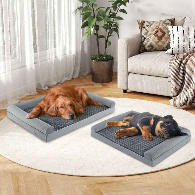 Orthopedic Foam Dog Bed L Sized Large Pet Bed-XXL