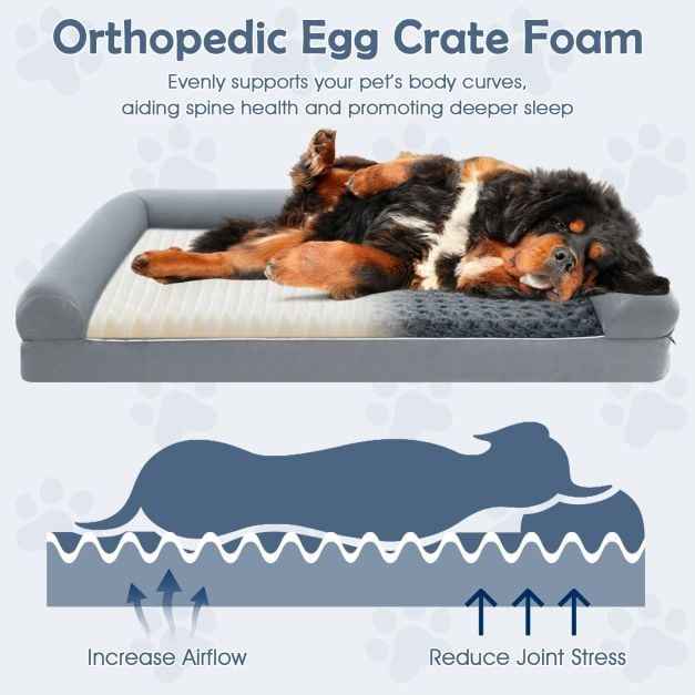 Orthopedic Foam Dog Bed L Sized Large Pet Bed-XXL