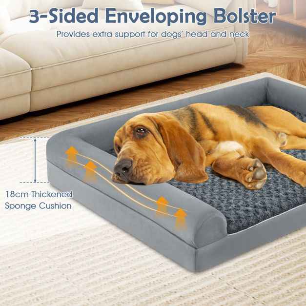 Orthopedic Foam Dog Bed L Sized Large Pet Bed-XXL