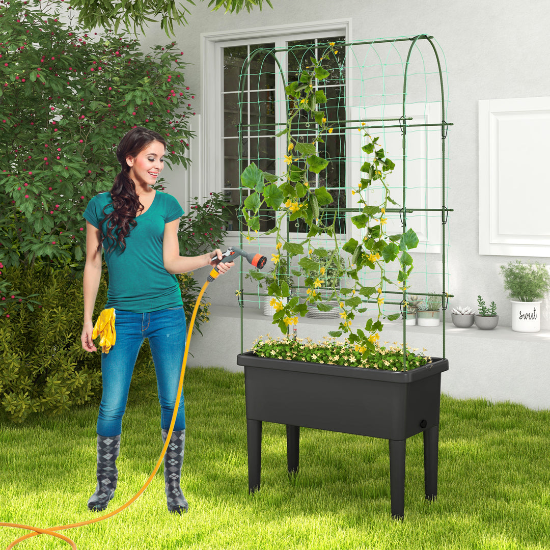 Self-watering Raised Garden Bed with Climbing Trellis-Black - TidySpaces