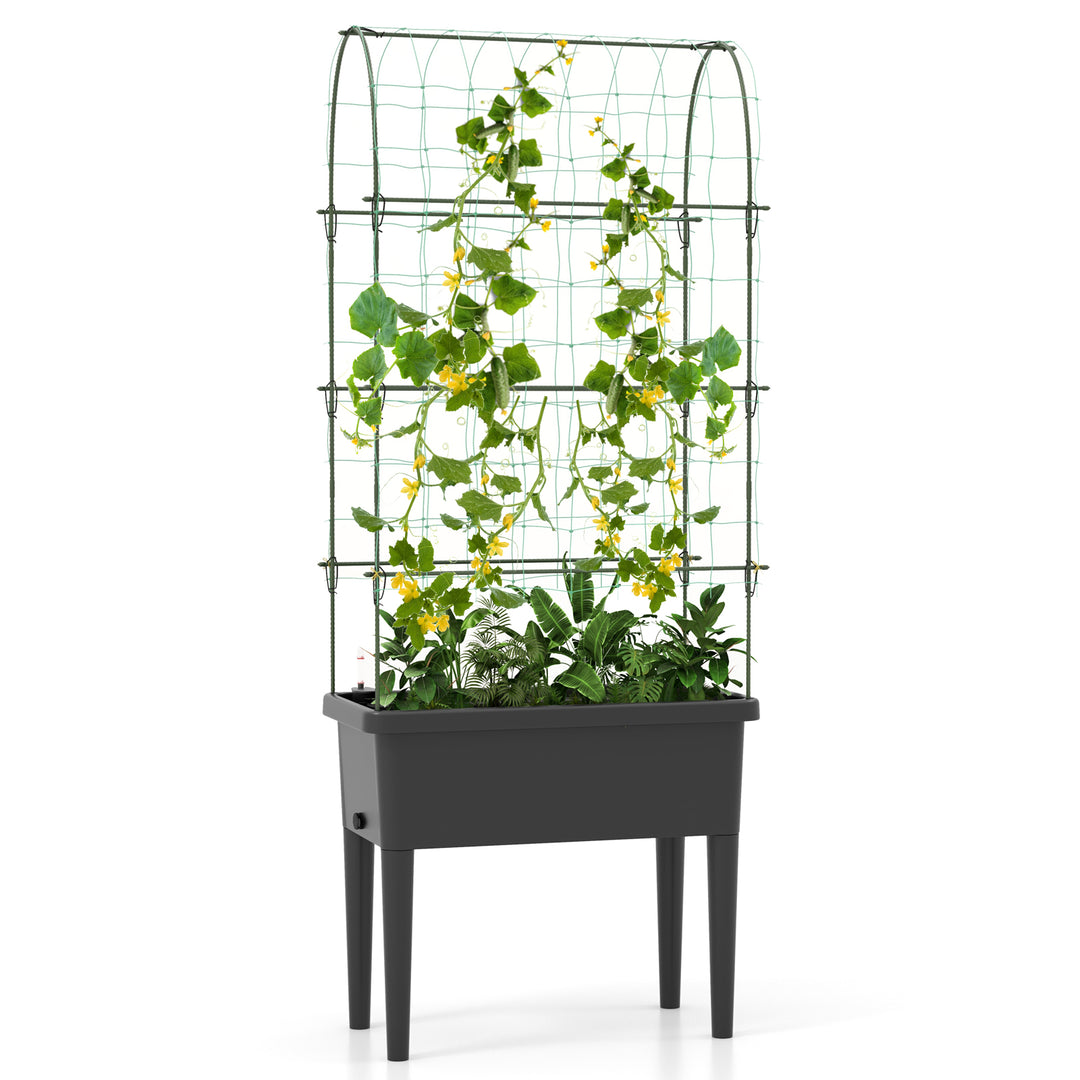 Self-watering Raised Garden Bed with Climbing Trellis-Black - TidySpaces