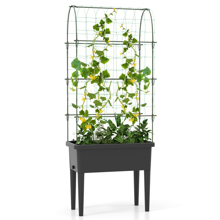 Self-watering Raised Garden Bed with Climbing Trellis-Black - TidySpaces