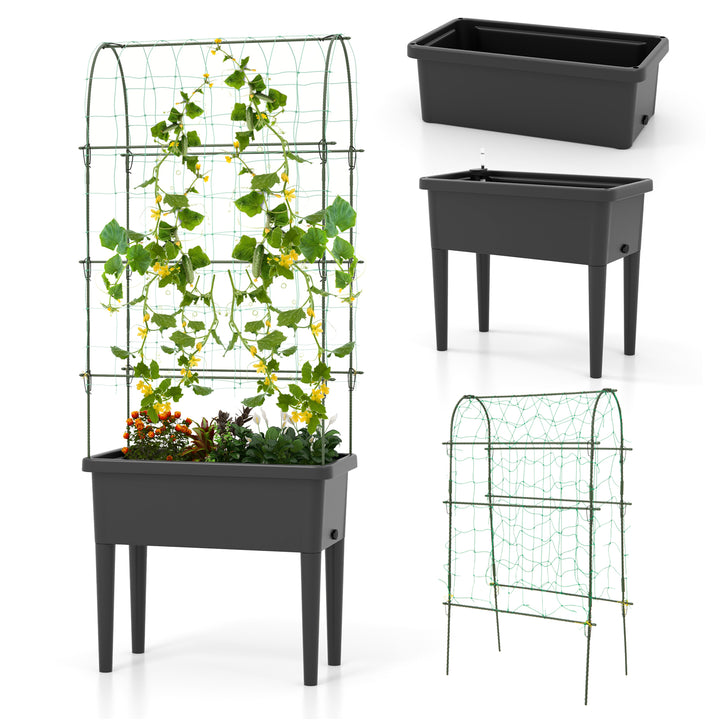 Self-watering Raised Garden Bed with Climbing Trellis-Black - TidySpaces
