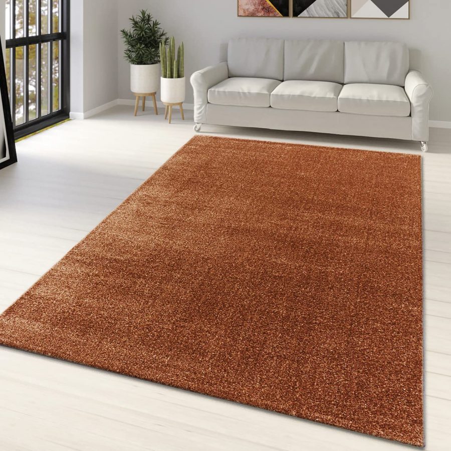 Rust Brown Modern Rug Rust Brown - TidySpaces