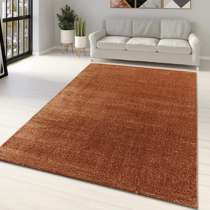 Rust Brown Modern Rug Rust Brown - TidySpaces