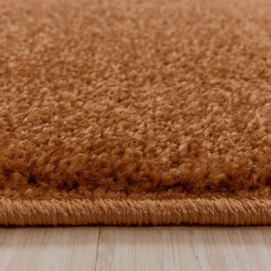 Rust Brown Modern Rug - TidySpaces