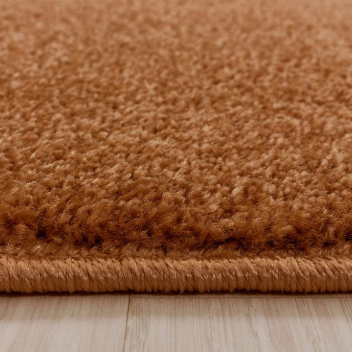 Rust Brown Modern Rug - TidySpaces