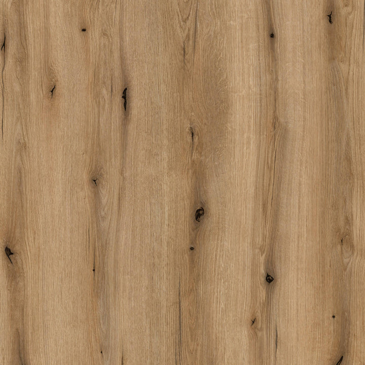Celesto 2 Door Cabinet in White and Oak - TidySpaces