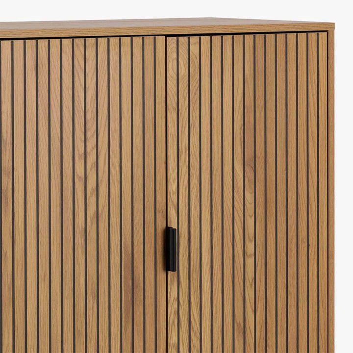 Jaipur Cabinet with 2 doors in Black - TidySpaces