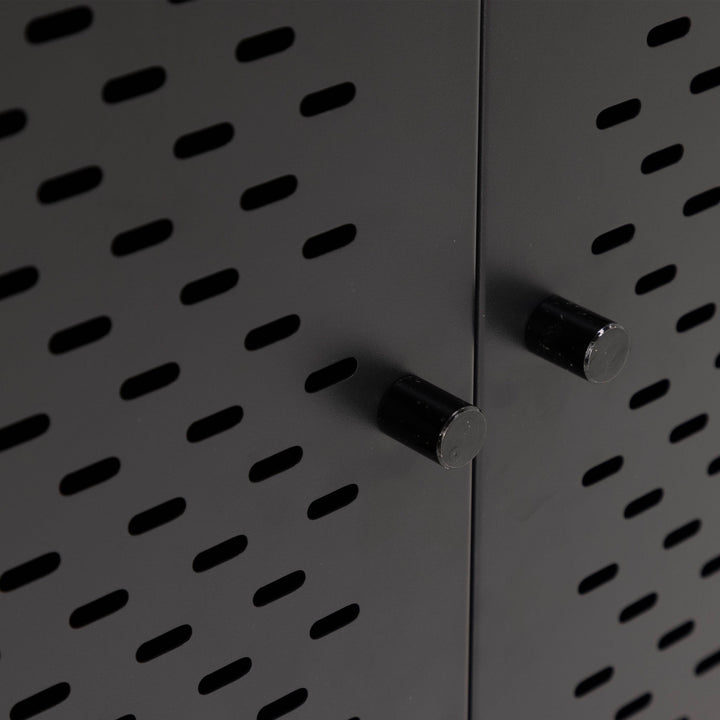 Newcastle 2 Door Cabinet in Matt Black - TidySpaces