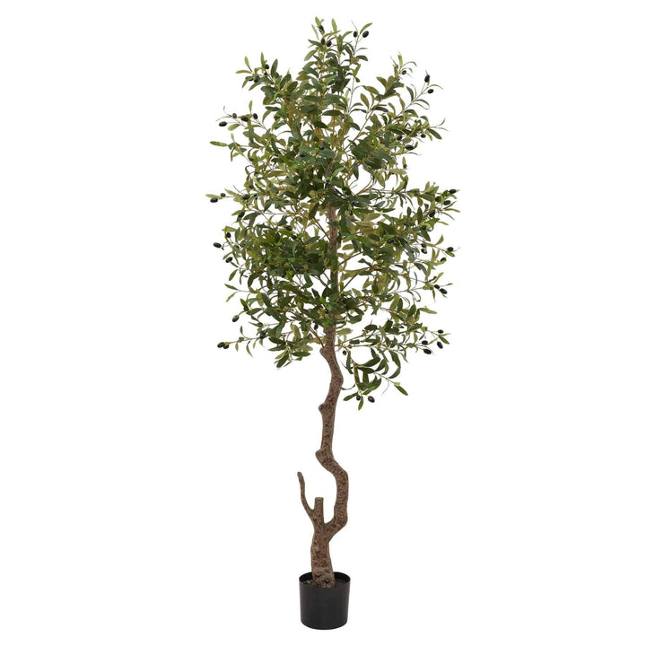 Calabria Large Olive Tree GREEN PLASTIC - TidySpaces