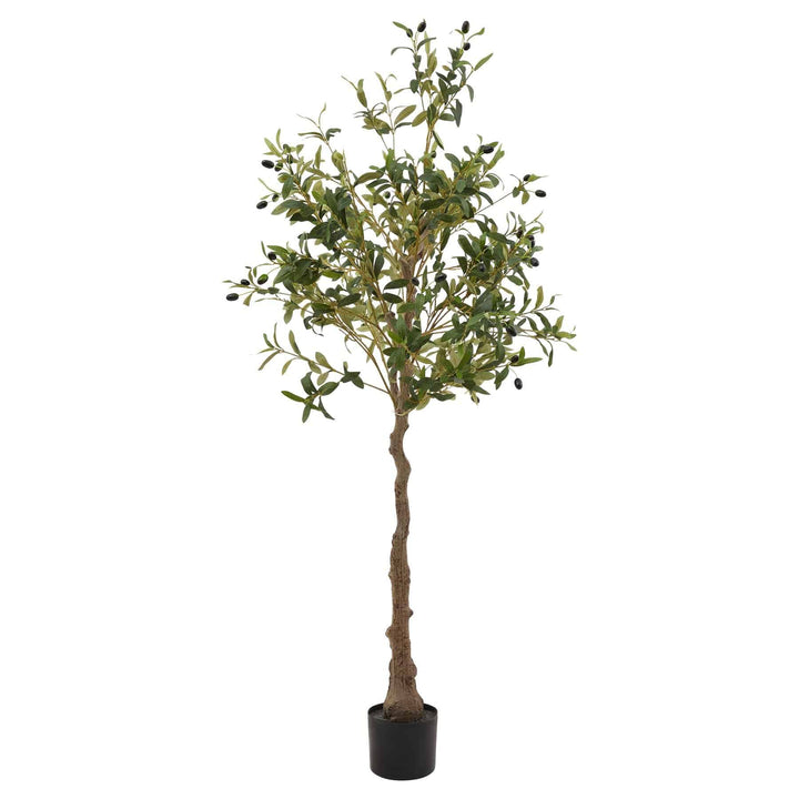 Calabria Olive Tree GREEN PLASTIC - TidySpaces