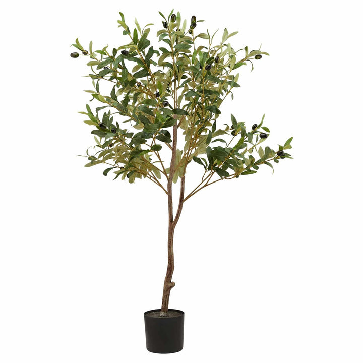 Calabria Small Olive Tree GREEN PLASTIC - TidySpaces
