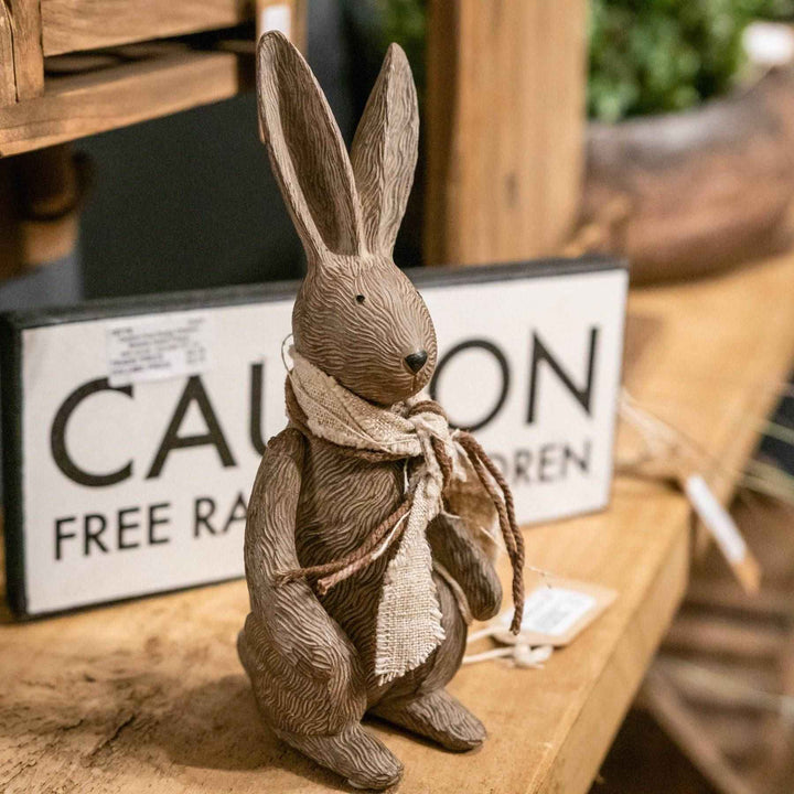 Winter Bunny Rabbit