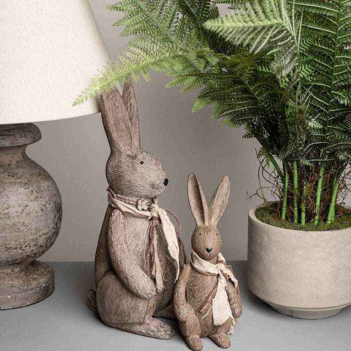 Winter Bunny Rabbit