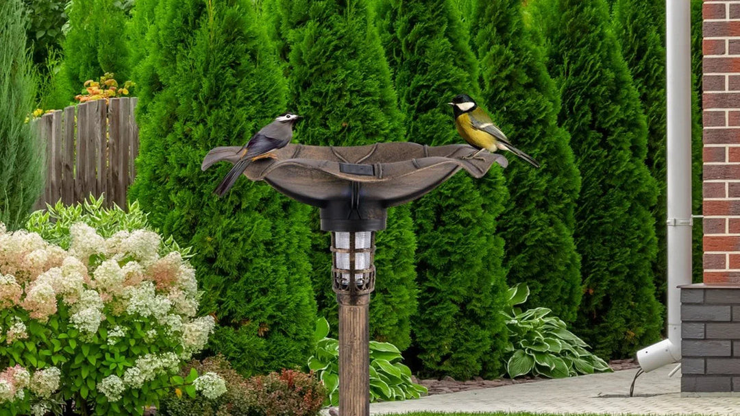 Bird Bath & Feeders - TidySpaces
