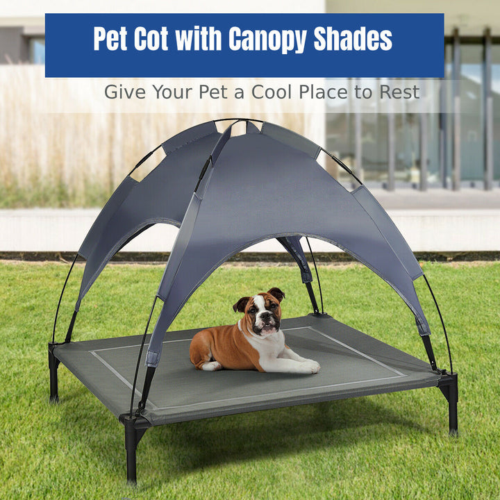 Elevated Pet Bed with Removable Canopy