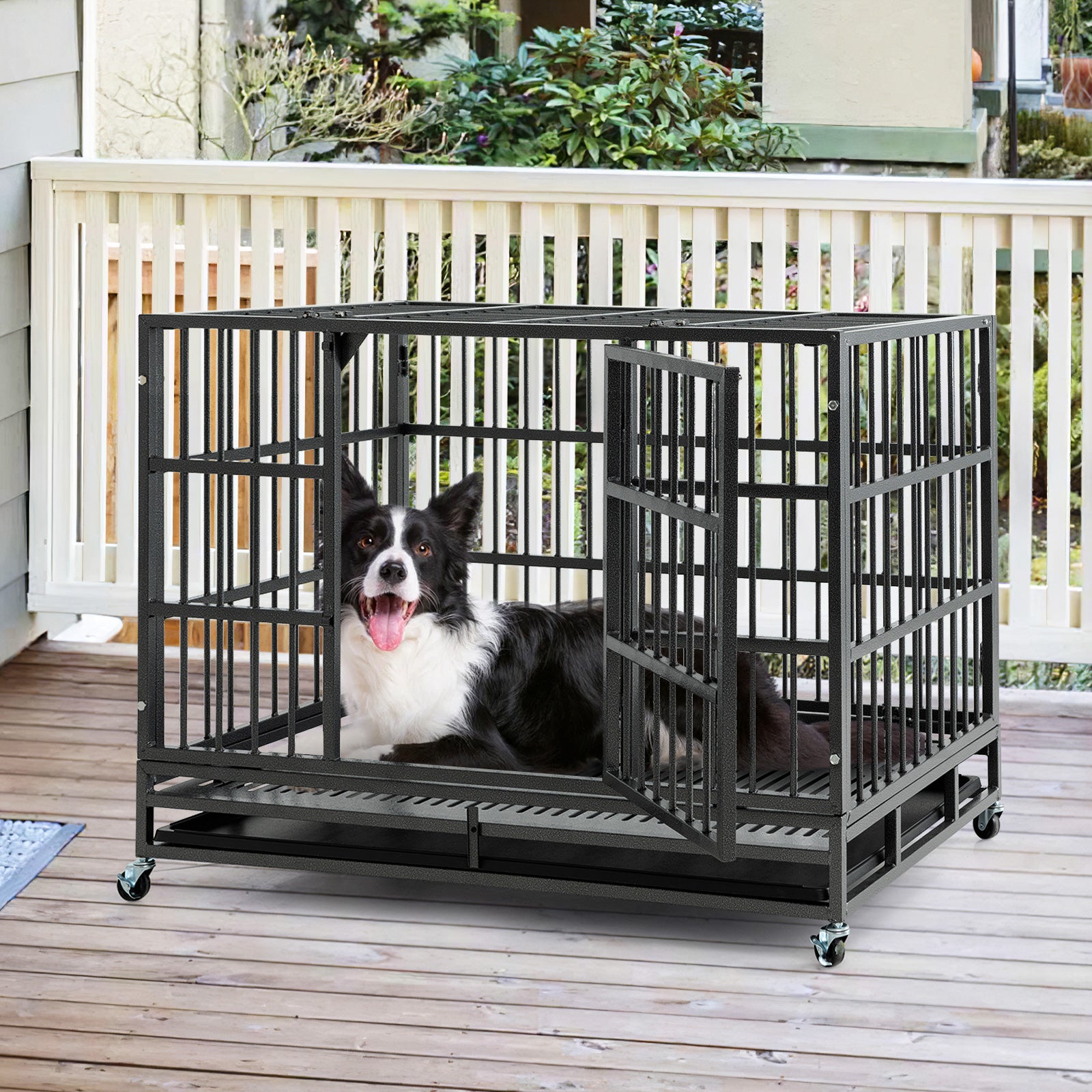 Steel dog cage outlet
