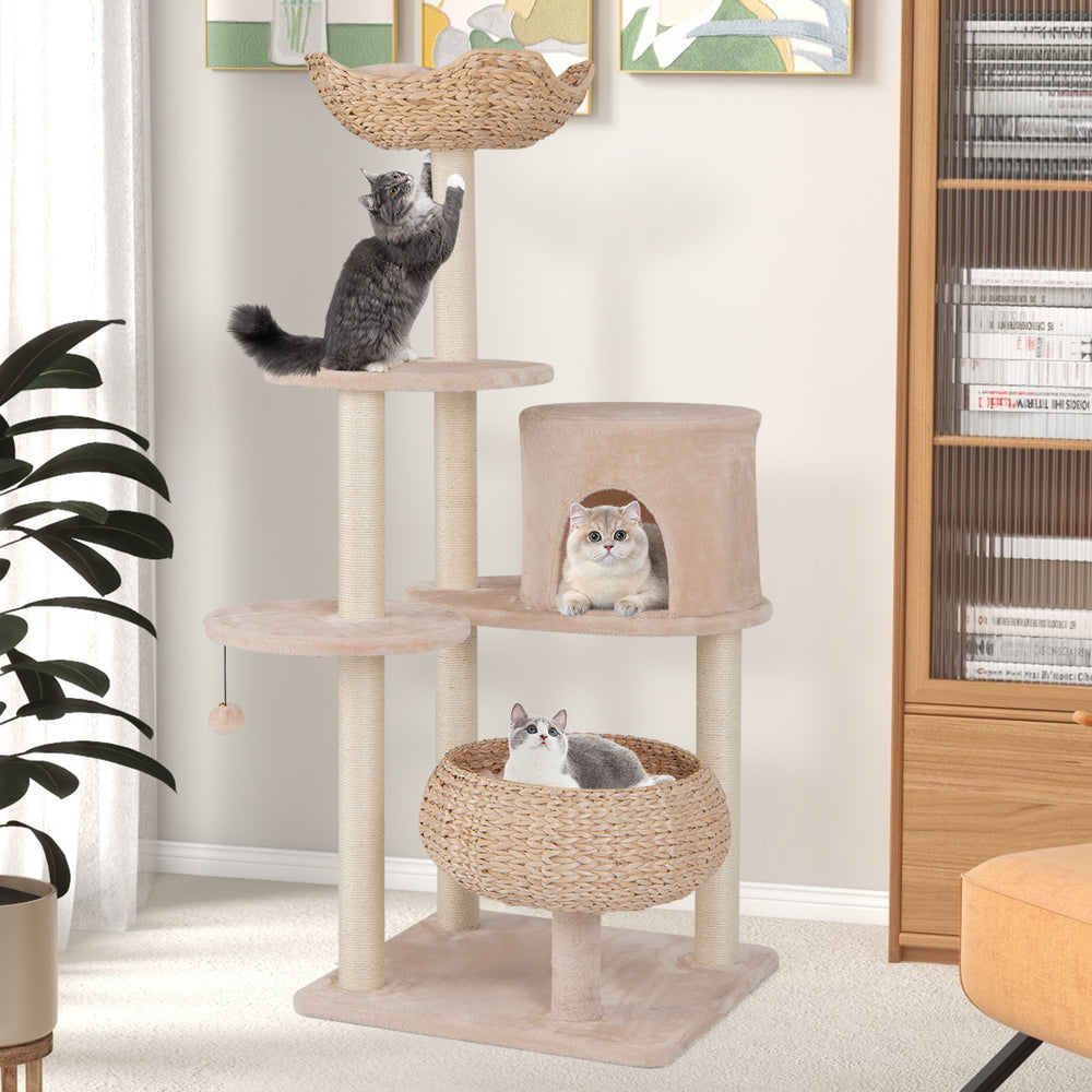 146 cm Cat Tree with Sisal Scratching Posts and Perch-Beige - TidySpaces