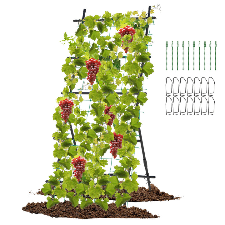 187cm Tall Garden Trellis Vertical Plant Support Stand with Netting-Black