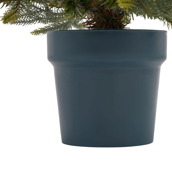 Potted Natural Pine Tree - TidySpaces