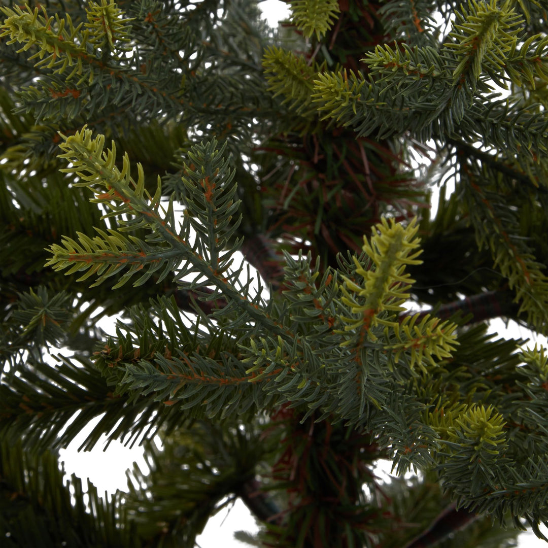 Potted Natural Pine Tree - TidySpaces