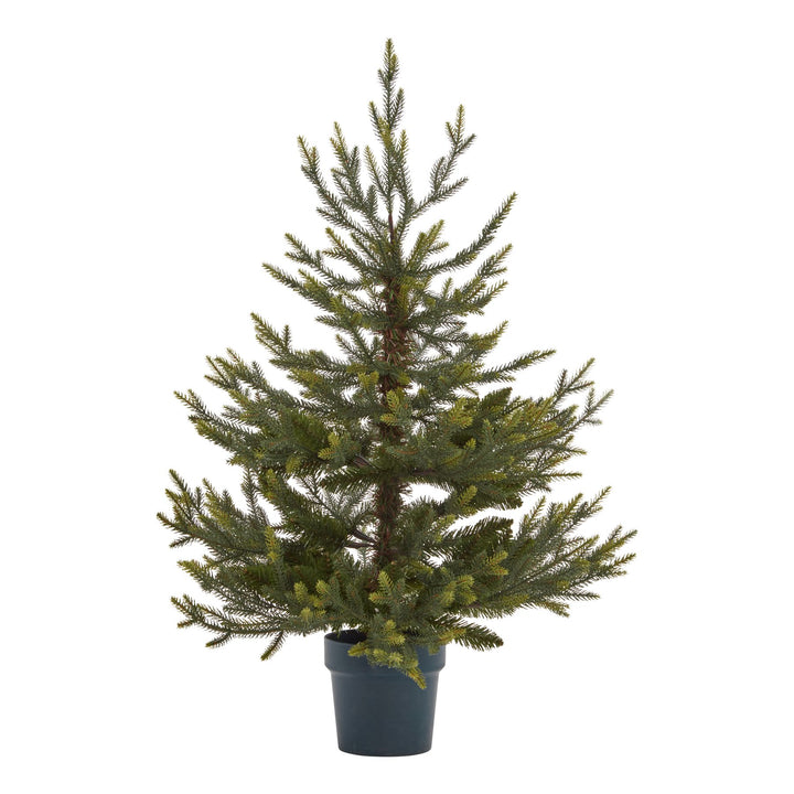 Potted Natural Pine Tree - TidySpaces