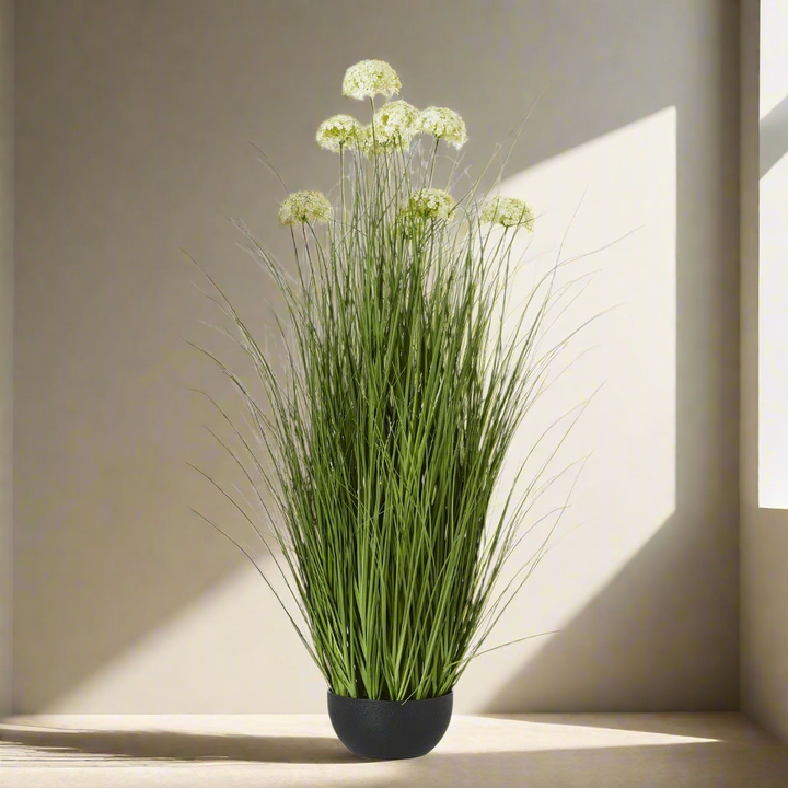 White Allium Plant In Pot
