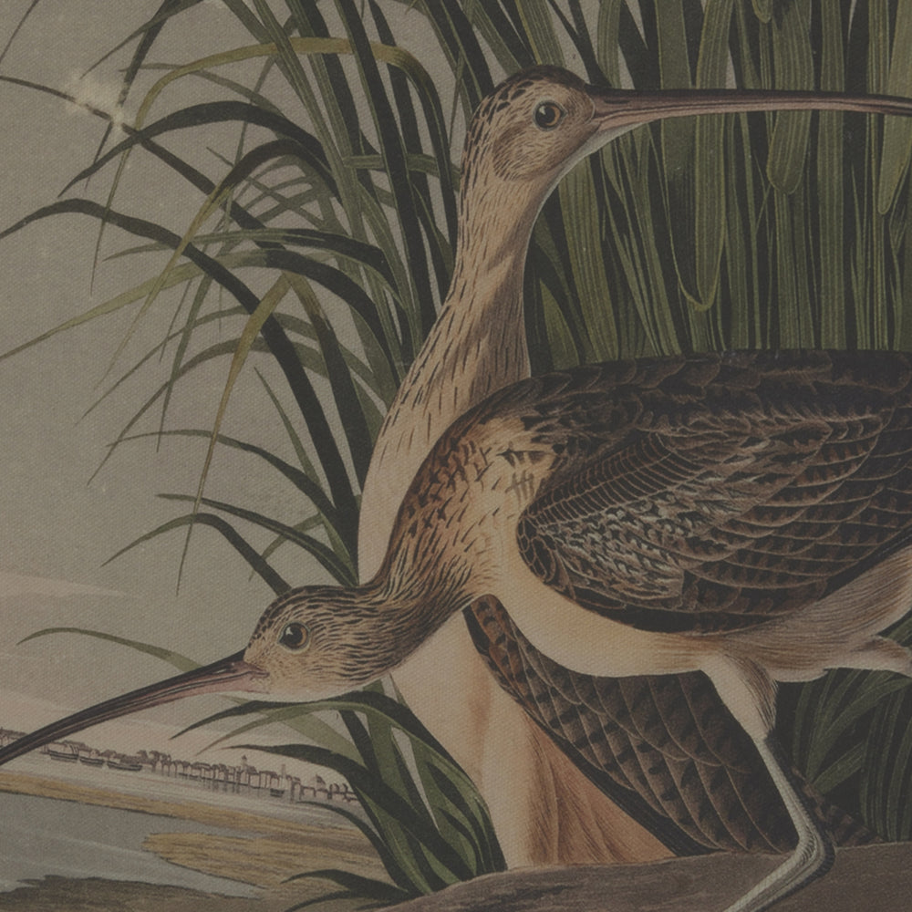 Flora & Fauna Collection Curlews On Linen In Beaded Frame - TidySpaces