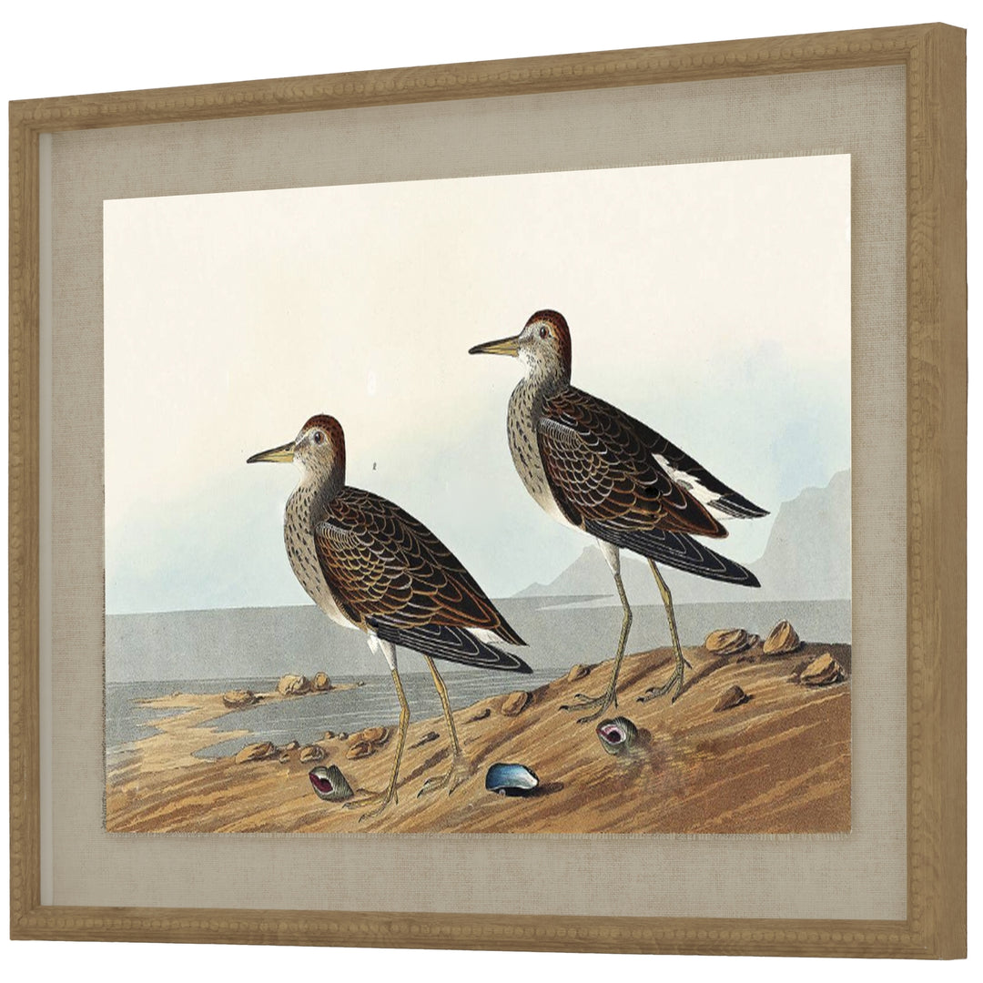 Flora & Fauna Collection Sandpipers On Linen In Beaded Frame BROWN GLASS - TidySpaces