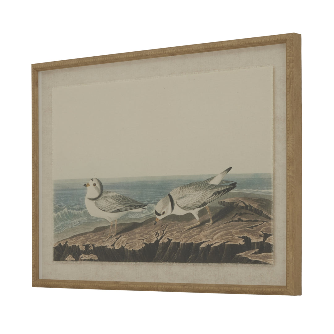 Flora & Fauna Collection Plovers On Linen In Beaded Frame BROWN GLASS - TidySpaces