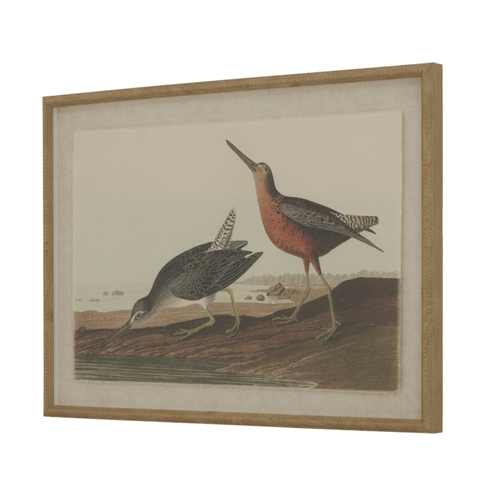 Flora & Fauna Collection Snipes On Linen In Beaded Frame BROWN GLASS - TidySpaces