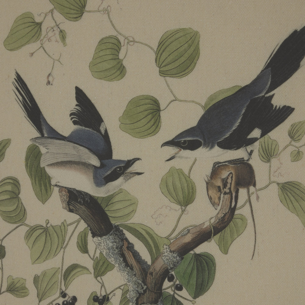 Flora & Fauna Collection Shrikes On Linen In Beaded Frame - TidySpaces